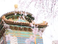 -北海公园