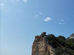 -杨梅坑