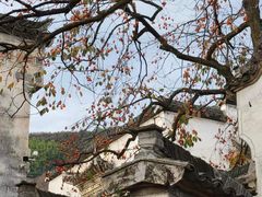 -塔川景区