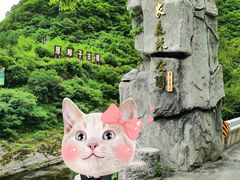 -黑河国家森林公园