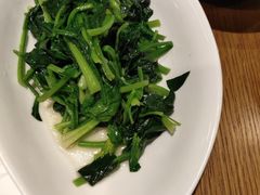 -菩提树·素食餐厅(汇智国际商业中心店)