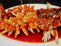 -RIVIERA 松鹤楼(外滩店)