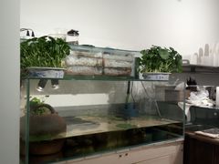 -甜心闲生传统手工冰粉(奎星楼店)
