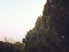 -仙游革命烈士陵园