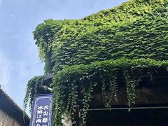 -舌尖葱包烩