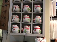 -猫咪博物馆(顶澳仔猫街店)