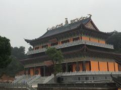 -铁山坪森林公园