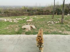 -西安秦岭野生动物园