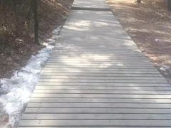 -帽儿山国家森林公园