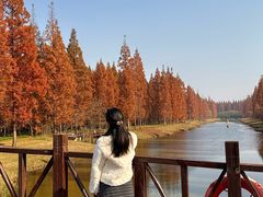 -黄海国家森林公园