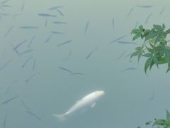 -杭州植物园