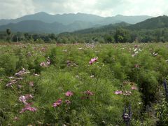 2013-09-06-545-百里山水画廊乌龙峡谷