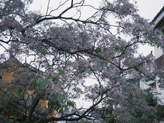 -锦溪古镇