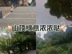 -重庆平顶山公园
