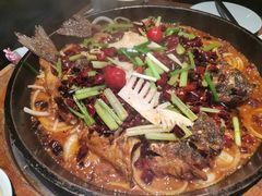 -老板恋上鱼(印象城店)