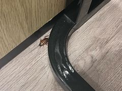 -厦门国家会计学院