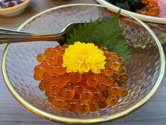 三文魚籽刺身杯-豊 胜手丼