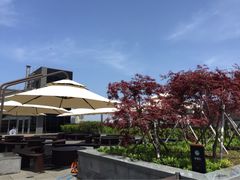 iphone_upload_pic-宝健路步行街(Pedestrian Shopping Street)