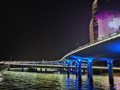 -演武大桥观景平台