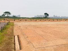 -盘龙城国家考古遗址公园