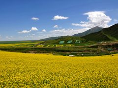 -扁都口生态休闲旅游区