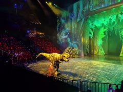 -重庆国际马戏城