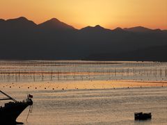 -北岐滩涂
