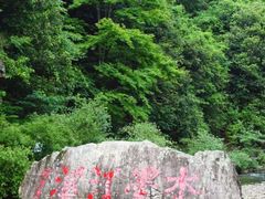 -水墨汀溪风景区