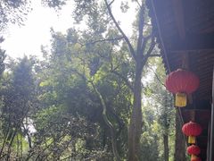 -成都武侯祠博物馆