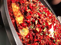 -江边城外烤全鱼(世茂广场店)