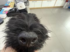-瑞派宠物医院·24h·骨外科·皮肤科·全科宠物医疗转诊中心(沈阳浑南院)