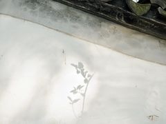 -秋霞圃
