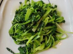 清炒鸡毛菜-19号私房菜(云南路店)