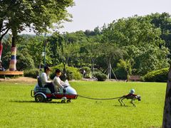 -宜兴龙背山森林公园