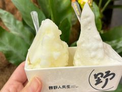 -野人先生Gelato(上海长宁龙之梦店)
