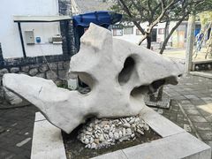 -淄博聊斋城景区