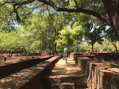 -波隆纳鲁沃古城皇家宫殿