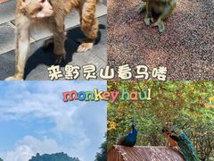 -黔灵山公园