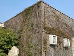 -八大山人梅湖景区