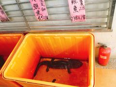 -荔城生鲜盛宴(番禺旗舰店)