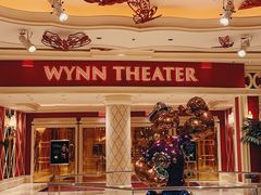 -拉斯维加斯永利酒店