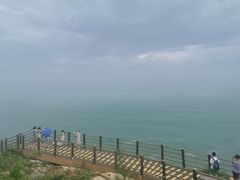 -广东惠东海龟国家级自然保护区