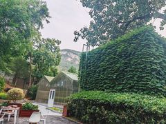-佛慧山