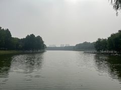 -大兴滨河森林公园