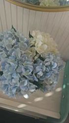 -韩美绣·骨相纹眉·洗眉美瞳线