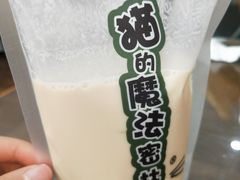 -猫的魔法密林(衣裳街店)