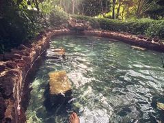 -苏州湾·王焰温泉