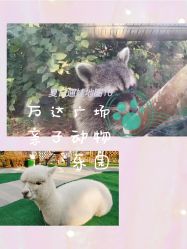 -萌宠亲子动物乐园(槐房万达店)