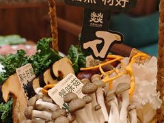 -大龙燚·旷野鲜火锅(广州首店)
