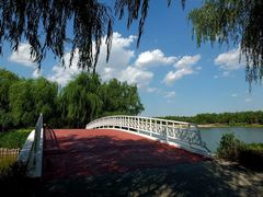 -大兴滨河森林公园